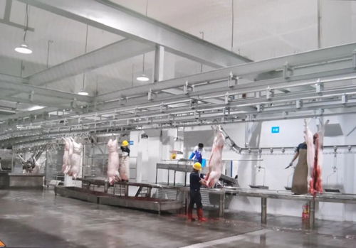 民生實(shí)事 區(qū)肉聯(lián)廠遷建項(xiàng)目一期工程竣工驗(yàn)收運(yùn)營