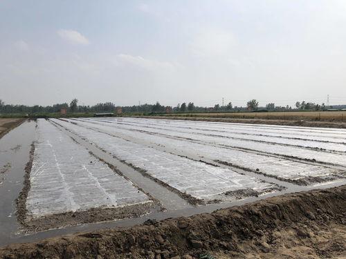 筑巢引鳳賦能 三鄉工程 打造鄉村振興 強磁場