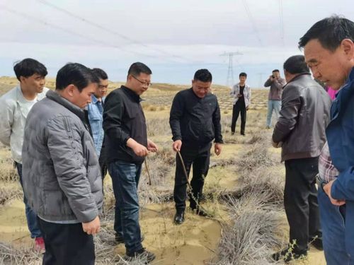 省林草局強(qiáng)化重點生態(tài)工程專項督查，保障建筑工程與生態(tài)保護(hù)協(xié)調(diào)發(fā)展